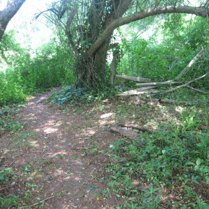 South Side of Fence After Pull